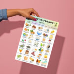 Diabetic-Friendly Snacks Printable Chart – Low Carb and Low Sugar Snack Options
