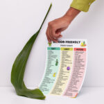 Senior-Friendly Food Chart with Eat Limit Avoid sections for elderly nutrition and grocery planning