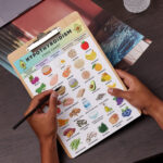 Hypothyroidism food chart with vegetables, fruits, iodine-rich foods, selenium-rich foods, grains, and healthy fats, designed for thyroid-friendly diets.
