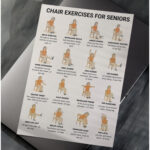 Illustrated chart showing 16 seated chair exercises for seniors to improve mobility, balance, strength, and flexibility.