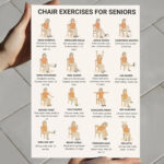 Illustrated chart showing 16 seated chair exercises for seniors to improve mobility, balance, strength, and flexibility.