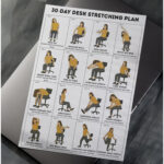 30-Day Desk Stretching Plan with daily seated stretches and standing stretches including neck tilt, shoulder rolls, wrist circles, spinal twist, hamstring stretch, ankle rolls, triceps stretch and more