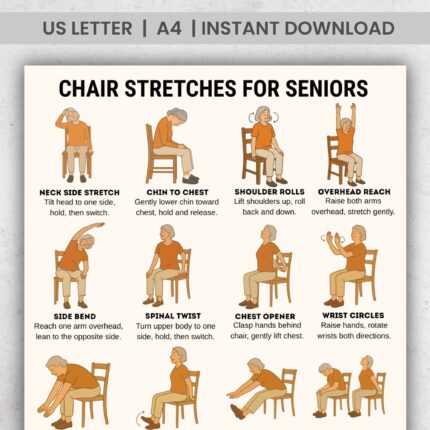 Illustrated chart showing 16 gentle chair stretches for seniors, including neck, back, shoulder, and leg seated exercises.