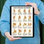 Illustrated chart showing 16 gentle chair stretches for seniors, including neck, back, shoulder, and leg seated exercises.